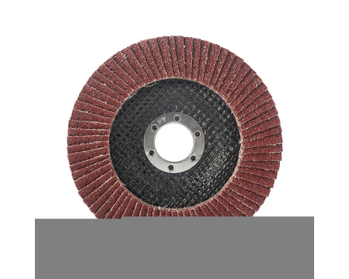 Круг лепестковый торцевой (125х22.23 мм, P40)