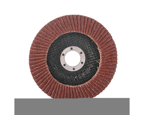 Круг лепестковый торцевой (125х22.23 мм, P60)