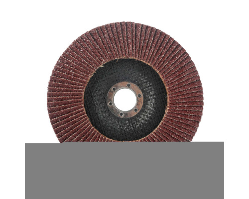 Круг лепестковый торцевой (150х22.23 мм, P40)