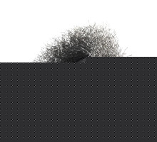 Щетка чашеобразная гофрированная (65 мм, М14)