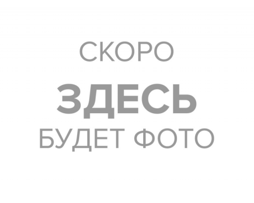 Лом-гвоздодёр Вихрь усиленный 900 мм