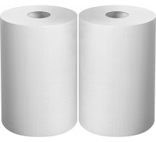 ЗУБР 20 х 25 см, 2-х слойная, в рулоне, 400 листов, 2 рулона, протирочная бумага, Профессионал (12822-20)