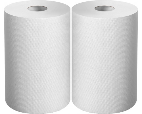 ЗУБР 20 х 25 см, 2-х слойная, в рулоне, 400 листов, 2 рулона, протирочная бумага, Профессионал (12822-20)