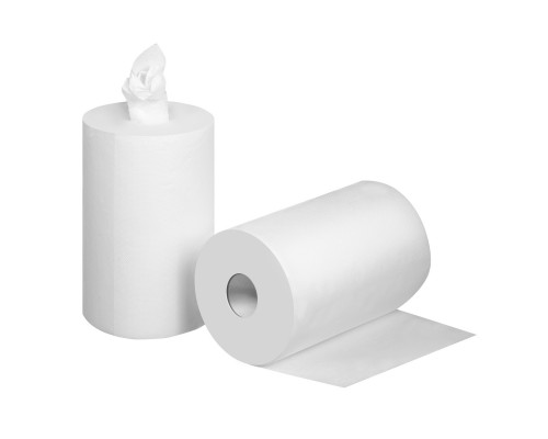 ЗУБР 20 х 25 см, 2-х слойная, в рулоне, 400 листов, 2 рулона, протирочная бумага, Профессионал (12822-20)