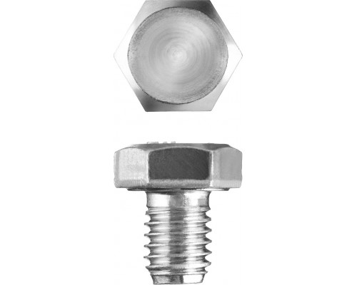Болт ГОСТ 7798-70, M8 x 10 мм, 5 кг, кл. пр. 5.8, оцинкованный, ЗУБР