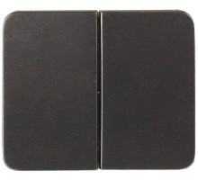 Выключатель СВЕТОЗАР ″ГАММА″ двухклавишный, без вставки и рамки, цвет темно-серый металлик, 10A/~250B