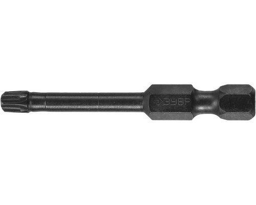 Ударные биты ЗУБР T25, 50 мм, 2 шт